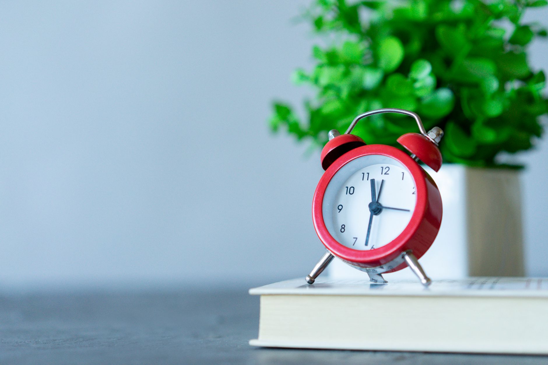 A red alarm clock resting on a book beside a plant