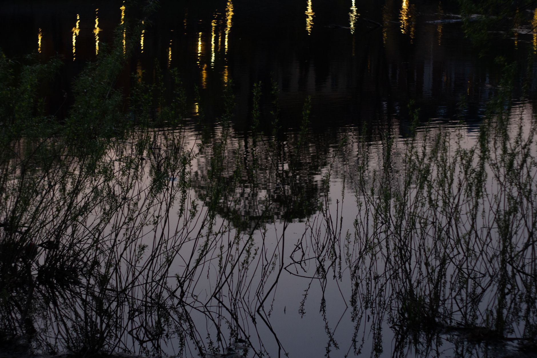Evening light reflecting across a quiet lake.