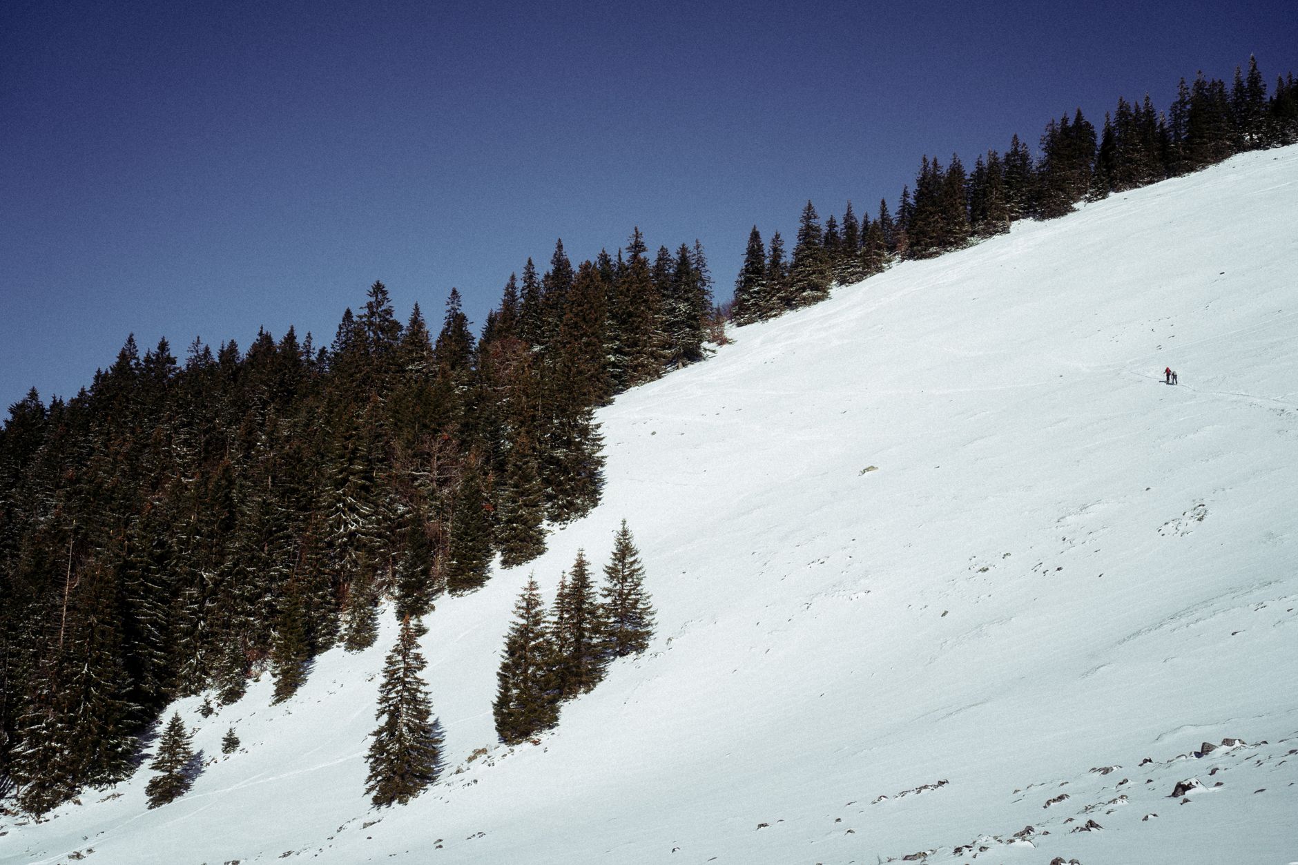 A pair of hands packing a fist-sized ball of snow before setting it down on a slope